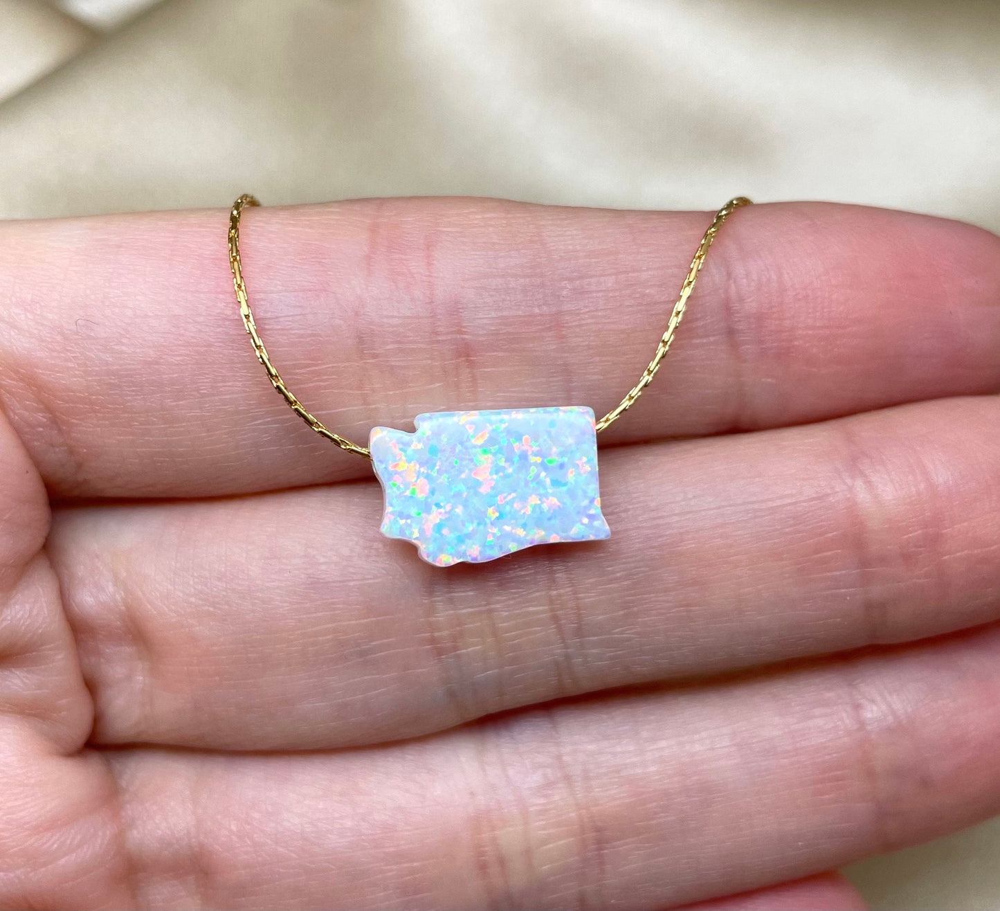 Washington State Necklace