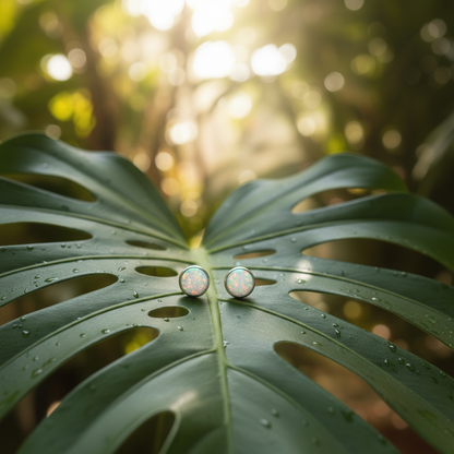 Pair of earrings on a large green leaf with water droplets, sunlit background