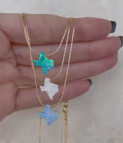 Texas State Necklace